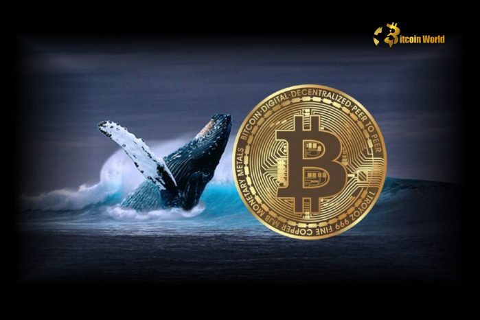 Ballena de Bitcoin mueve 250M$ tras 8 años de inactividad