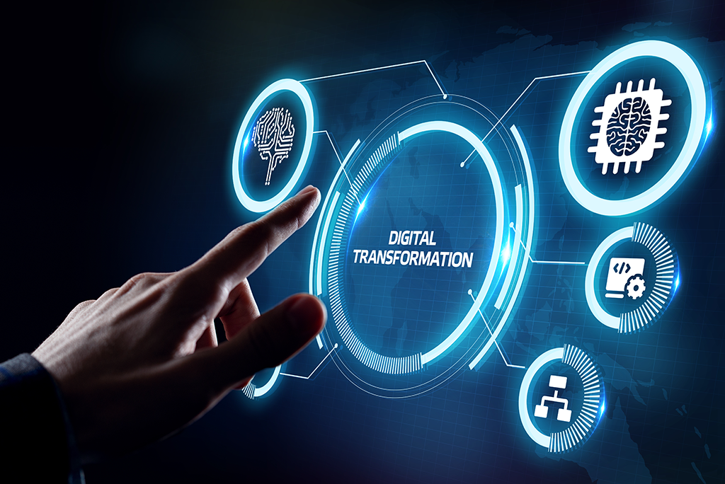 Transformación Digital: Importancia de los Datos Estructurados