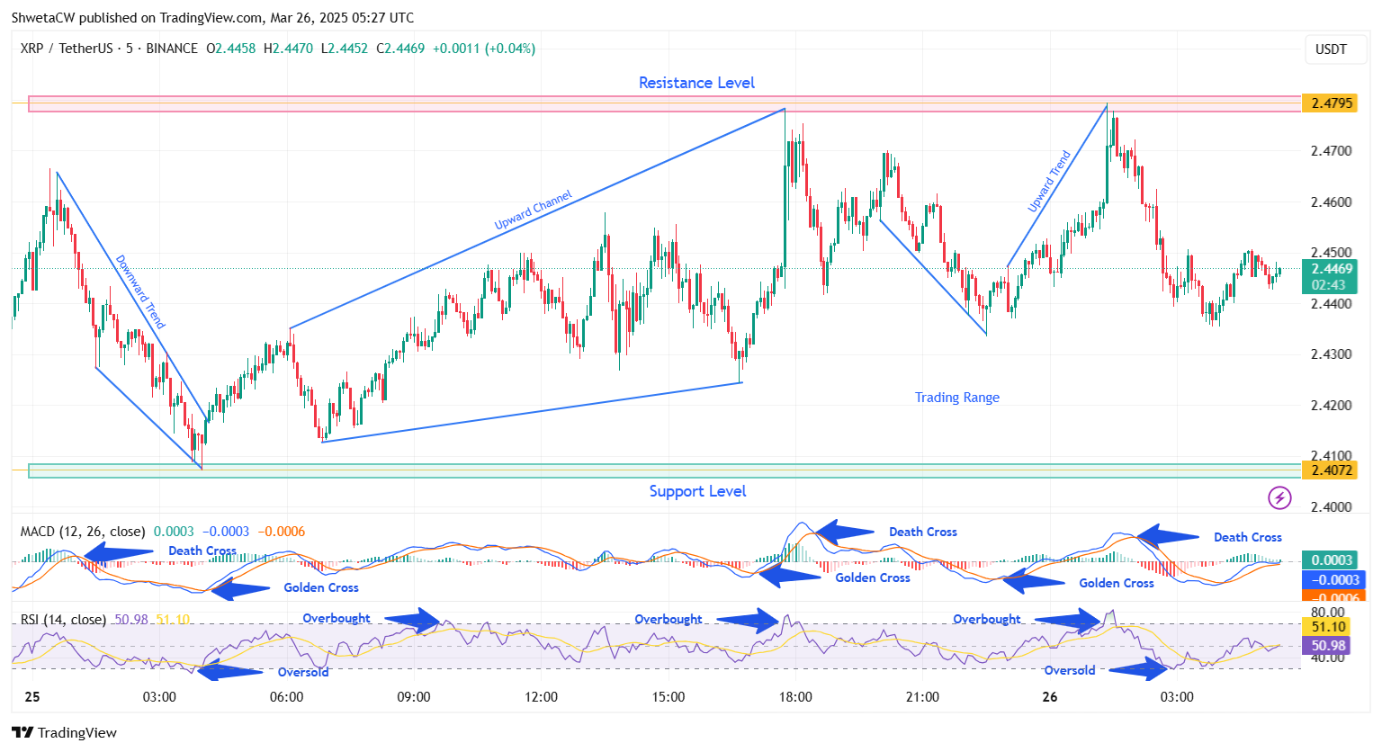 XRP Alcista: Expectativa por Decisión de la SEC