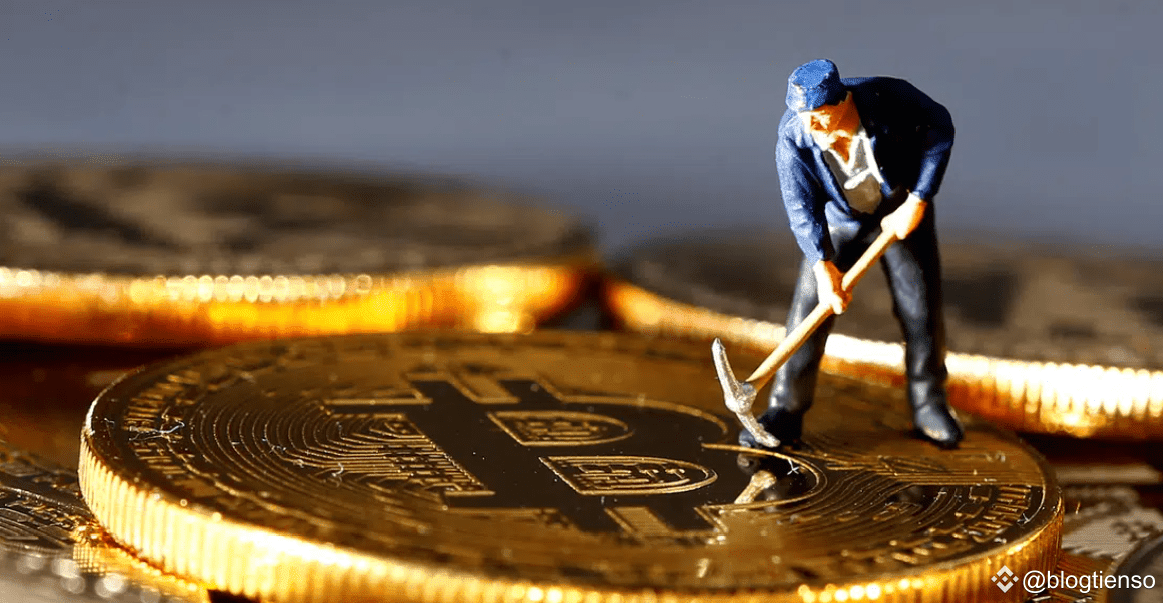 Mineros de Bitcoin Aceleran Importaciones por Aranceles de Trump